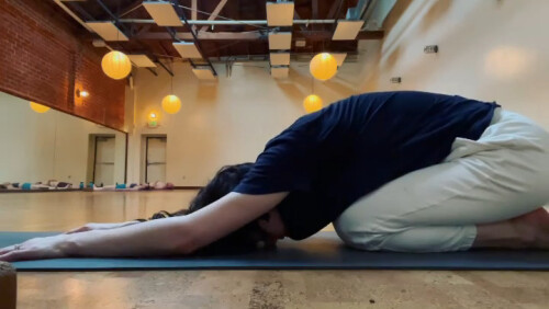 AlexandraDaddarioyoga-3.jpg
