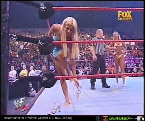 TorrieWilsonRAW-ActionfanHITW-028da1b4f246ce2134.md.jpg
