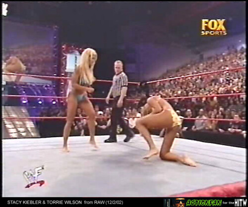 TorrieWilsonRAW-ActionfanHITW-11019823a5c0f45b39.md.jpg