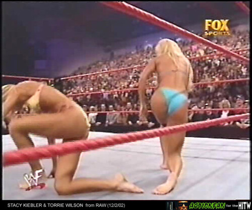 TorrieWilsonRAW-ActionfanHITW-41.md.jpg