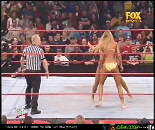 TorrieWilsonRAW-ActionfanHITW-44.md.jpg