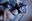 Azami Nude Leaked Onlyfans Photo Azami Nude Leaked Onlyfans Photo