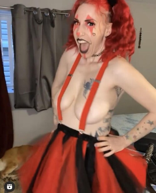 Alycatastrophie Photo 3