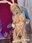 Azami Nude Leaked Onlyfans Photo Azami Nude Leaked Onlyfans Photo