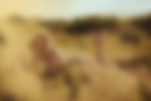 busya18plus Nude Leaked Onlyfans Photo busya18plus Nude Leaked Onlyfans Photo