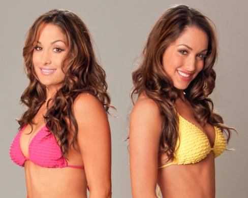 Bella-Twins---WWE-SummerSlam-Divas-Photoshoot-25.jpg