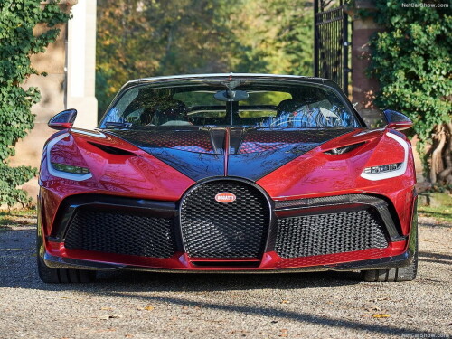 Bugatti-Divo_Lady_Bug-2020-1024-0b.jpg