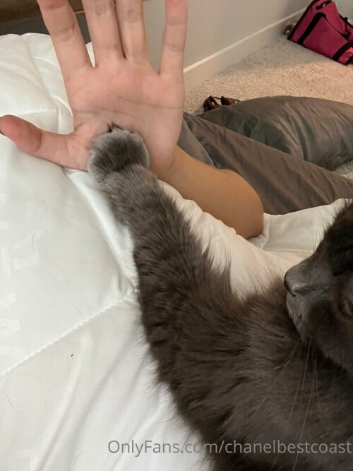 chanelbestcoast Nude Leaked Onlyfans Photo chanelbestcoast Nude Leaked Onlyfans Photo