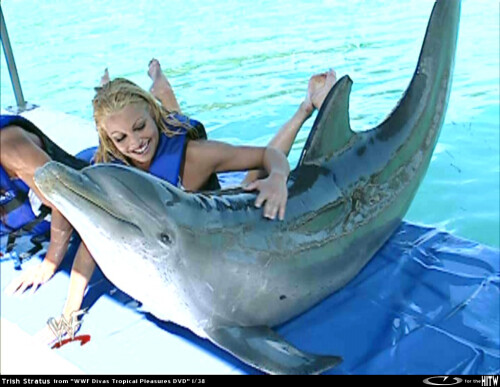 TrishStratusWWF02 eromitlabHITW 17