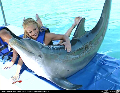 TrishStratusWWF02-eromitlabHITW-21663511cb2fca5e8a.md.jpg