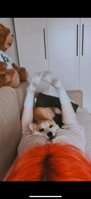 Flaffyx | Isa Maple Shengelia Nude Leaked Onlyfans Photo Flaffyx | Isa Maple Shengelia Nude Leaked Onlyfans Photo