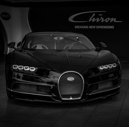 the-bugatti-chiron-is-shown-to-the-goodwood-festival-of-news-photo-1600106522.jpg